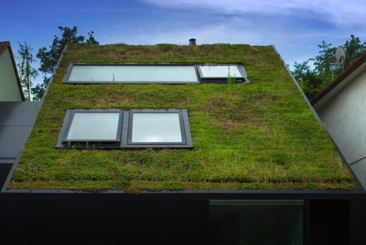 Haus-Gründach-nachhaltig-3